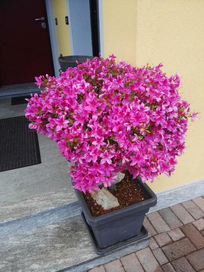 B&B Guglielmina Quarna Sotto 外观 照片